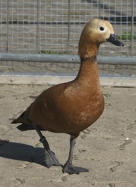 各方保持审