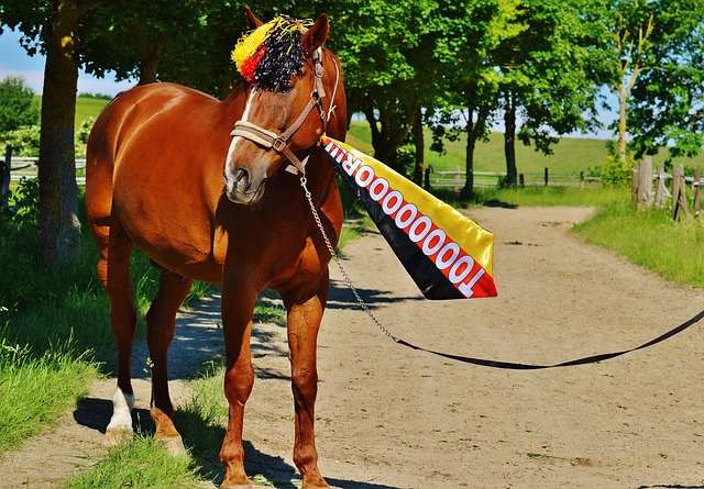 也让我们看 也让我们看