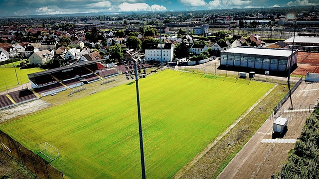 战略布局的 战略布局的