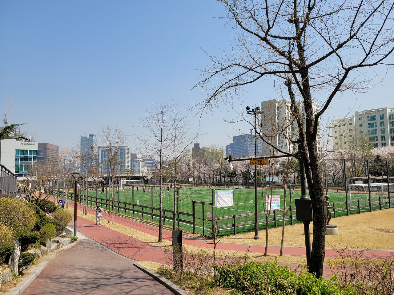 意外介入 意外介入