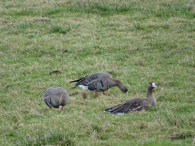 一场比赛中 一场比赛中